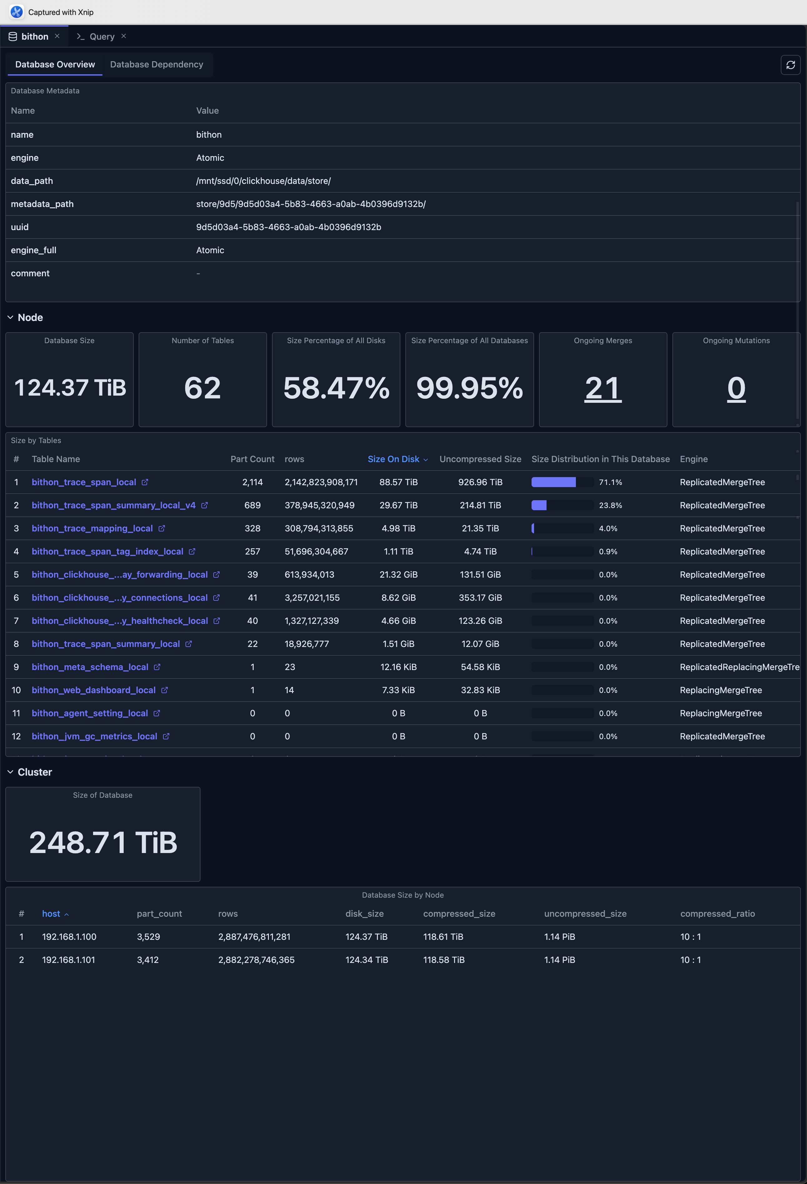 Database View showing comprehensive database overview with statistics, table information, and dependency visualization